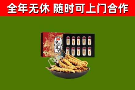 阳信县烟酒回收冬虫夏草礼盒.jpg